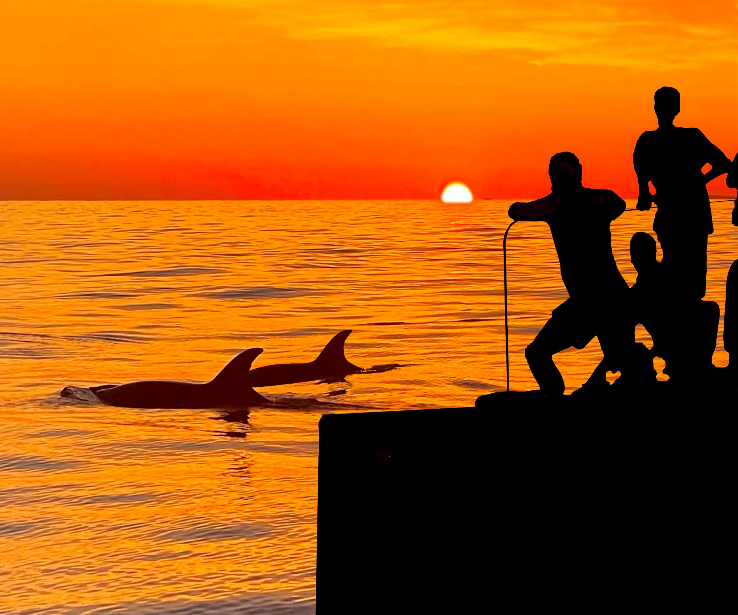 Sunrise with Dolphins