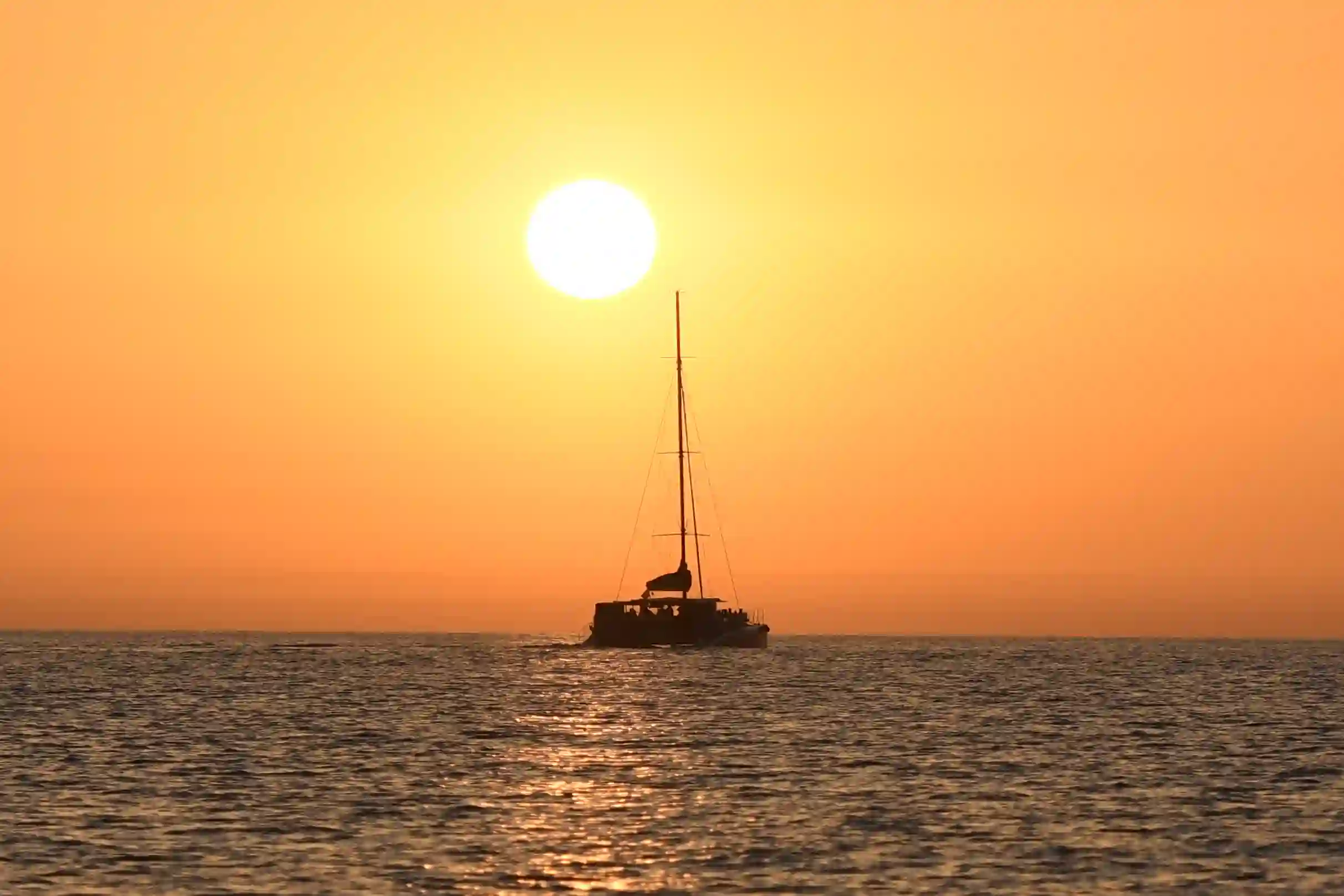 Amanecer con delfines